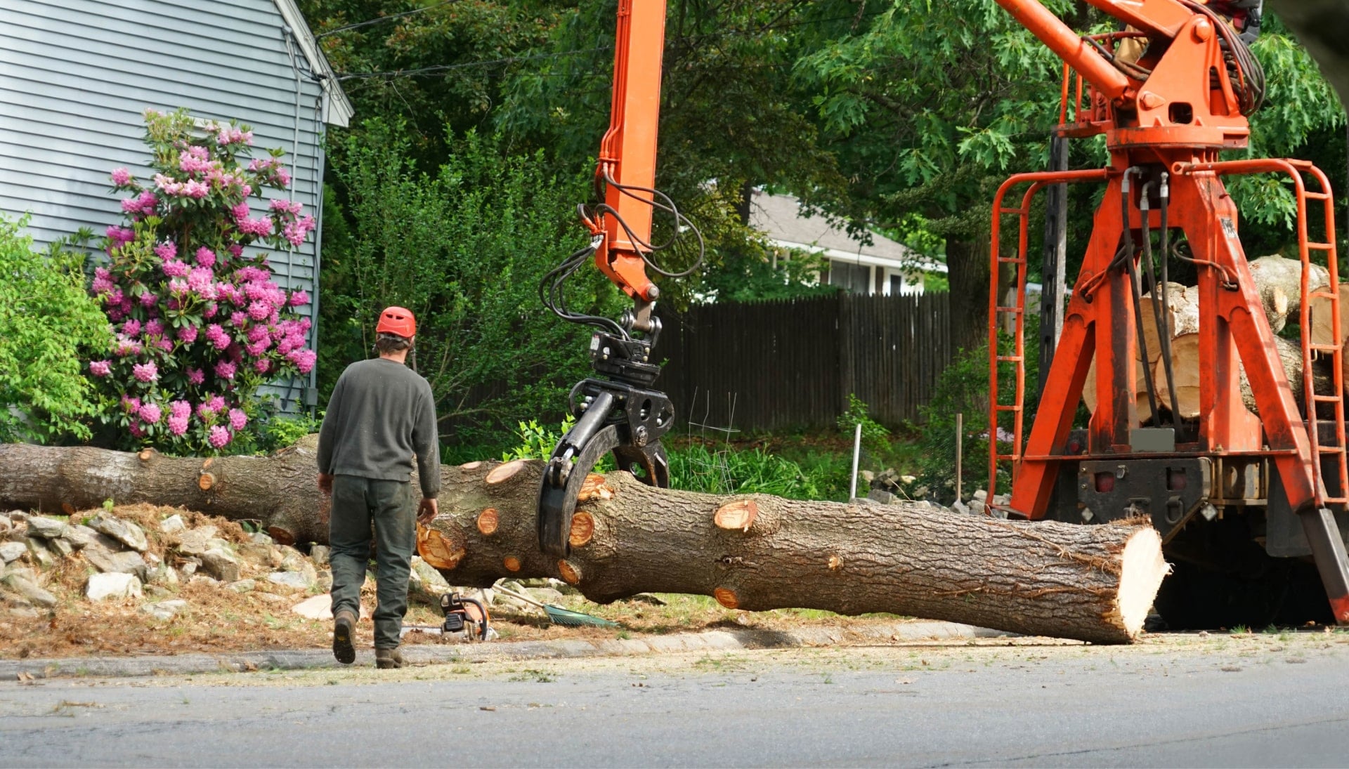 Local partner for Tree removal services in Houston