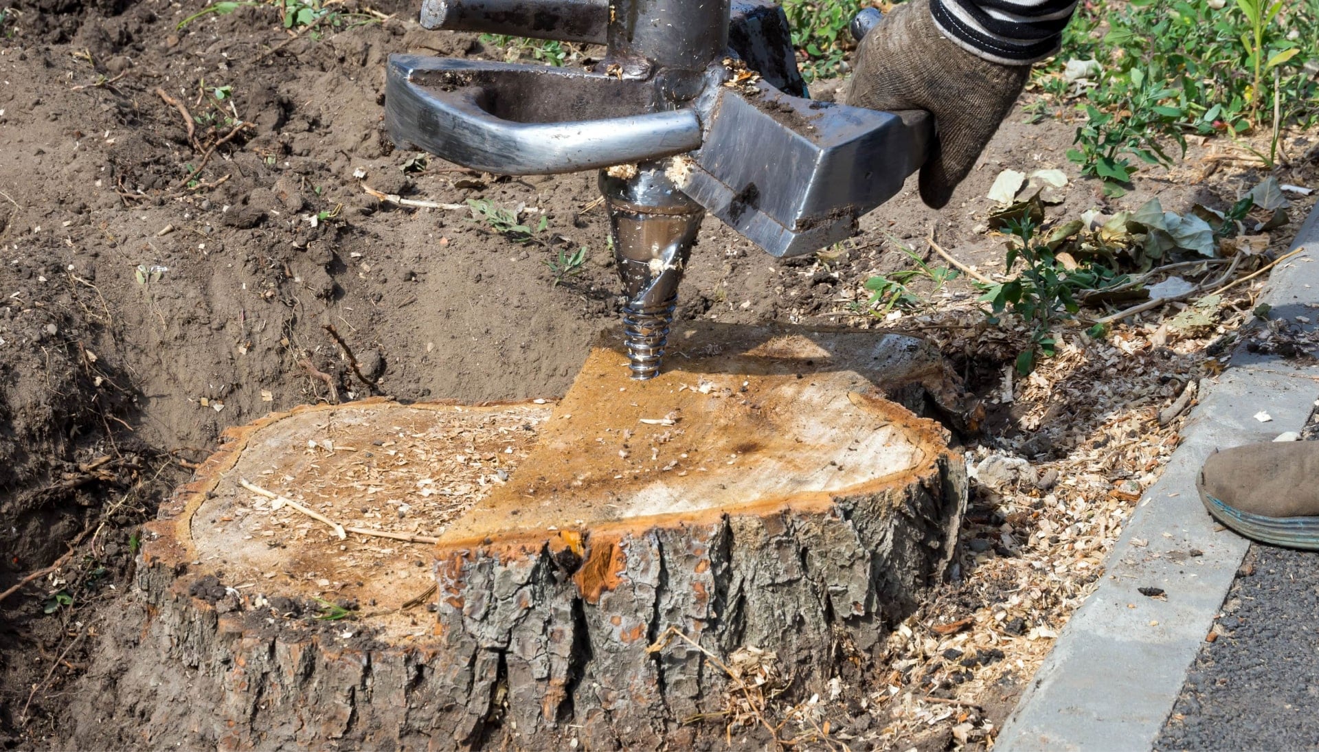 Houston Tree stump removal
